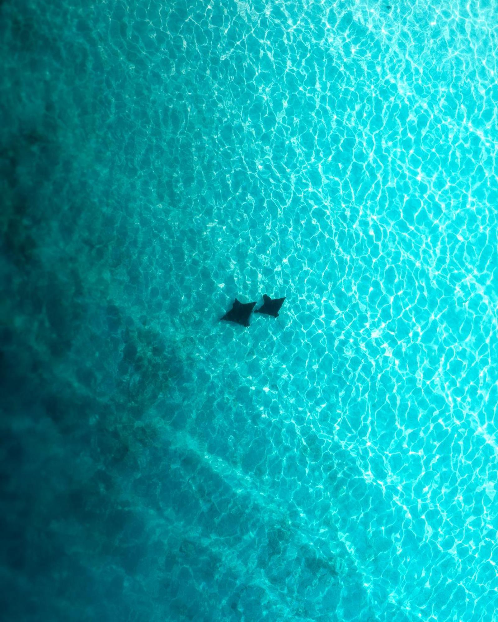 Araamu Hotels Maldives At Dhiffushi Εξωτερικό φωτογραφία